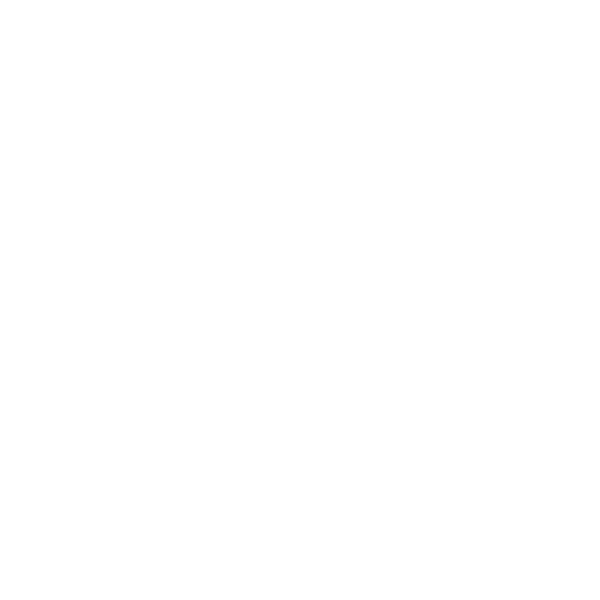 Fayt